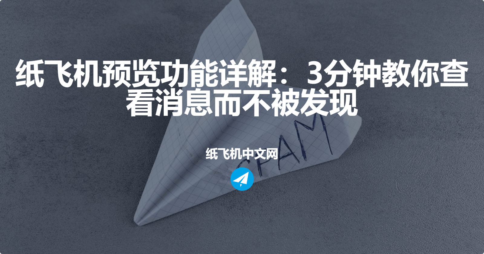 纸飞机预览聊天功能详解：3分钟教你查看消息而不被发现
